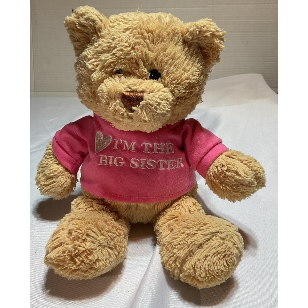 GUND Brown Bear I’m The Big Sister Teddy Bear Pink Shirt Stuffed Animal Toy